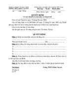 quyết định thanh tra