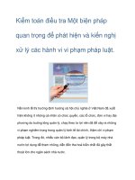Kiểm toán điều tra ppsx