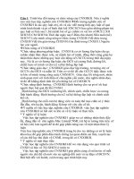 Đề thi lịch sử đảng docx