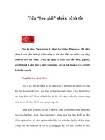 Tiêu “hóa giải” nhiều bệnh tật pps