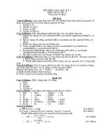 DE KIEM TRA HOC KY HOA 8