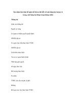 Xác nhận bản khai đề nghị chế độ ưu đãi đối với anh hùng lực lượng vũ trang, anh hùng lao động trong kháng chiến pdf