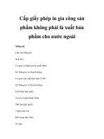 Cấp giấy phép in gia công sản phẩm không phải là xuất bản phẩm cho nước ngoài pps