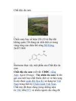 Chất độc da cam potx