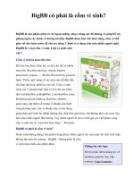 BigBB có phải là cốm vi sinh? ppsx