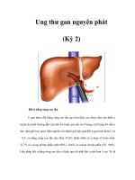 Ung thư gan nguyên phát (Kỳ 2) potx