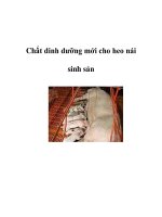 Chất dinh dưỡng mới cho heo nái sinh sản pps