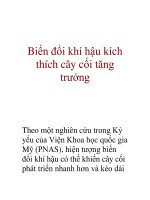Biến đổi khí hậu kích thích cây cối tăng trưởng pps