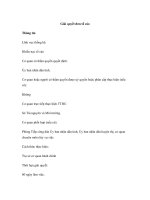 Giải quyết đơn tố cáo docx