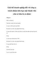 Giải thể doanh nghiệp đối với công ty trách nhiệm hữu hạn một thành viên (chủ sở hữu là cá nhân) ppsx