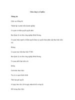 Chia công ty cổ phần ppsx