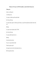 Đăng ký bổ sung, sửa đổi dấu nghiệp vụ giám định thương mại doc