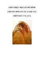 GIỚI THIỆU MỘT SỐ MÔ HÌNH CHUYỂN ĐỔI CƠ CẤU CANH TÁC TRÊN ĐẤT 3 VỤ LÚA ppt