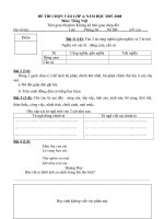 Đề thi HSG TViệt lớp 3