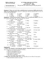 Đề thi HSG trường môn TA 6