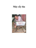 Máy cấy lúa pdf