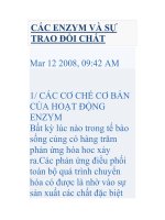CÁC ENZYM VÀ SỰ TRAO ĐỔI CHẤT pot