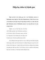 Diệp hạ châu trị bệnh gan ppt