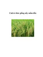 Cách ủ thóc giống nẩy mầm đều ppt