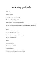 Tách công ty cổ phần pot