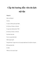 Cấp thẻ hướng dẫn viên du lịch nội địa ppsx