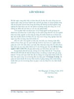 Đồ án Ngành sản xuất đồ gia dụng và công nghiệp