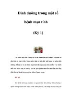 Dinh dưỡng trong một số bệnh mạn tính (Kỳ 1) doc