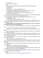 THI TIM HIEU PHAP LUAT TRONG CAN BO, CONG CHUC, VIEN CHUC 2010