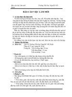 Báo cáo việc làm mới : Rèn chữ viết đẹp cho HSD