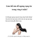 Làm thế nào để ngưng rụng tóc trong vòng 6 tuần? potx