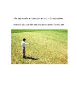 CÁC BIỆN PHÁP KỸ THUẬT CHỦ YẾU CỦA HỆ THỐNG CANH TÁC LÚA CẢI TIẾN (SRI) ỨNG DỤNG TRONG VỤ MÙA 2008 docx