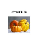 CÂY RAU BÍ ĐỎ doc