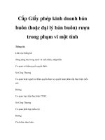 Cấp Giấy phép kinh doanh bán buôn (hoặc đại lý bán buôn) rượu trong phạm vi một tỉnh docx