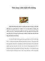 Thảo dược chữa bệnh tiểu đường pptx