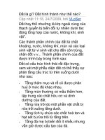 Đô thị hoá là gì? docx