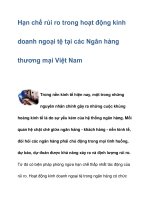 Hạn chế rủi ro trong hoạt động kinh doanh ngoại tệ potx