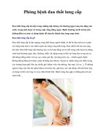 Phòng bệnh đau thắt lưng cấp ppsx