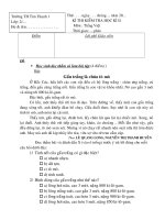 Mẫu bài KT HK2 K2 (Tiếng Việt)2009-2010