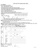 de cuong hoa 8 ki II