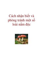 Cách nhận biết và phòng tránh một số loài nấm độc ppt