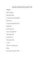 Chứng thực Hợp đồng thuê tài sản gắn liền với đất ppsx