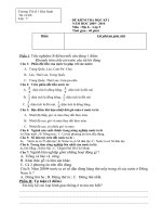Đề KT cuối kỳ 2 LS-ĐL 5.(2009-2010)