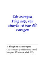 Các estrogen Tổng hợp, vận chuyển và trao đổi estrogen 1. Tổng hợp các estrogen: doc