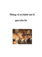 Phòng và trị bệnh sán lá gan trên bò ppsx