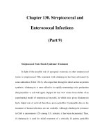 Chapter 130. Streptococcal and Enterococcal Infections (Part 9) pptx