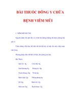 BÀI THUỐC ĐÔNG Y CHỮA BỆNH VIÊM MŨI pdf