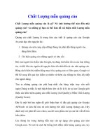 Chất Lượng mẫu quảng cáo Chất Lượng mẫu quảng cáo là gì? ppsx