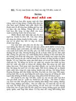 Bài Văn Tả Cây Mai - Lê Gia Bảo 6/4