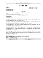 Giáo án lớp 3- tuần 33-CKT