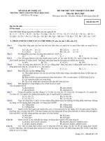 đề thi thử tốt nghiệp